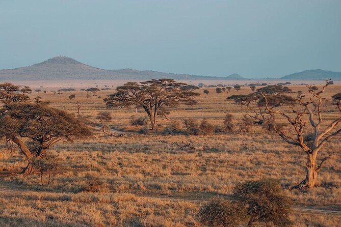 5-Days Private Safari Tour in Trangire, Serengeti, and Ngorongoro Crater - Serengeti first entry: the endless plains feeling