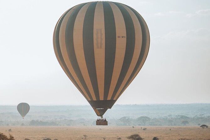 5-Days Private Safari Tour in Trangire, Serengeti, and Ngorongoro Crater - Should you book this 5-day private safari?