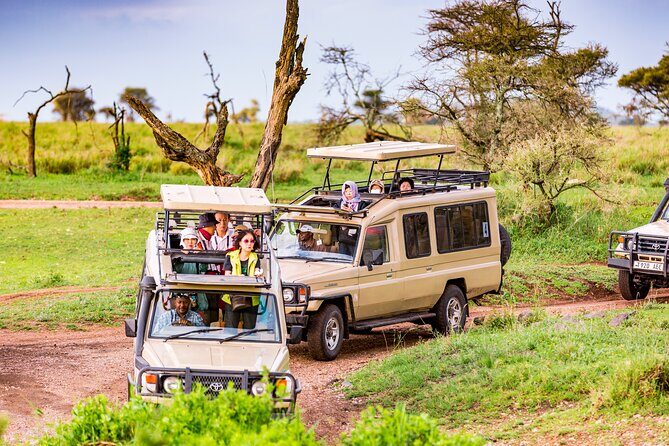5 Days Private Safari Tour & Maasai village Visit Tanzania - How a private 5-day safari works when you start in Arusha