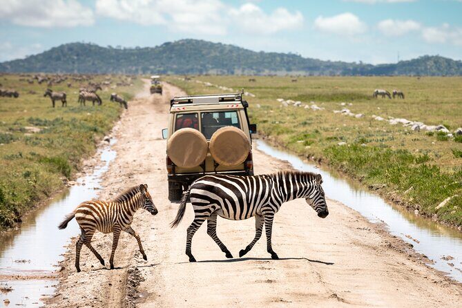 5 Days Private Safari Tour & Maasai village Visit Tanzania - Guides, vehicle time, and why the private format boosts your odds