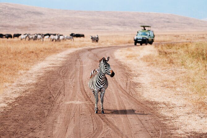 5 Days Private Safari Tour & Maasai village Visit Tanzania - Price and value: what $2,215 per person includes (and what you should budget)
