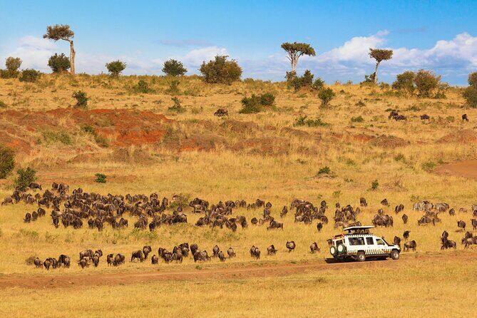 5 Days Private Safari Tour & Maasai village Visit Tanzania - Who this safari fits best