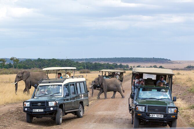 5 Days Private Safari Tour & Maasai village Visit Tanzania - Day 2: Tarangire elephants, baobabs, and a river that pulls wildlife in