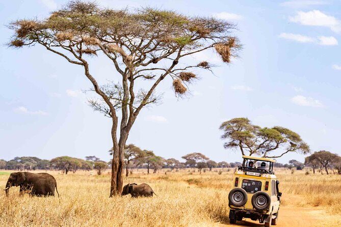 5 Days Private Tarangire, Serengeti, Ngorongoro, Manyara Safaris - Serengeti plains and the Seronera advantage