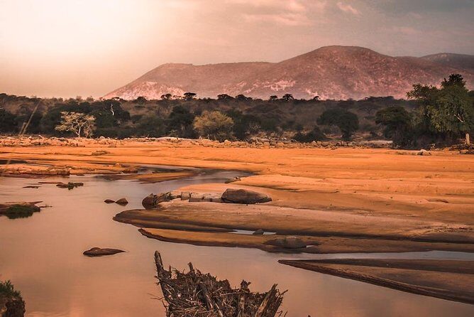 5 Days Ruaha National Park Safari - Your team, plus the food that keeps you sane