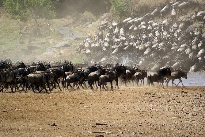 5 Days Safari Adventure in Tanzania - Lake Manyara to Serengeti: a big transfer day that keeps you moving