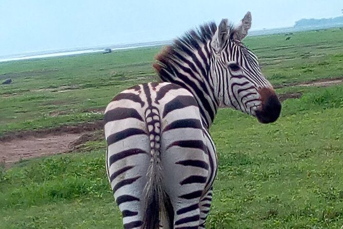 5 Days Safari from Dar es Salaam to Tarangire NP, Manyara NP & Ngorongoro Crater - Leaving Dar es Salaam: the road trip is half the story