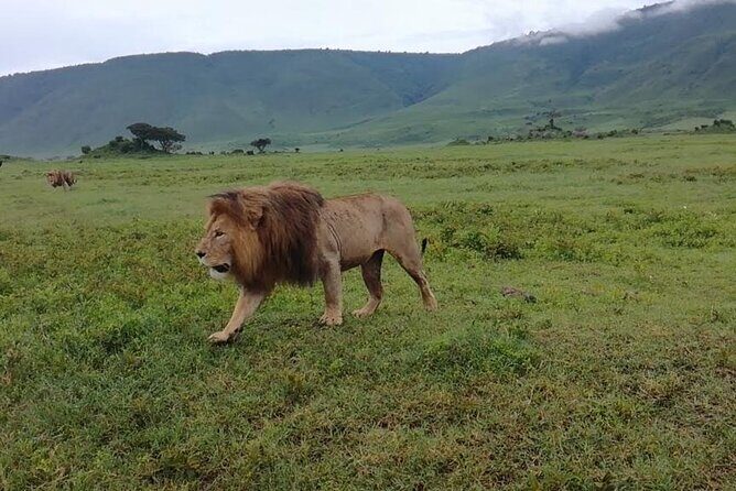 5 Days Safari In Serengeti And Ngorongoro - Price and value: is $3,500 per person fair for this route?