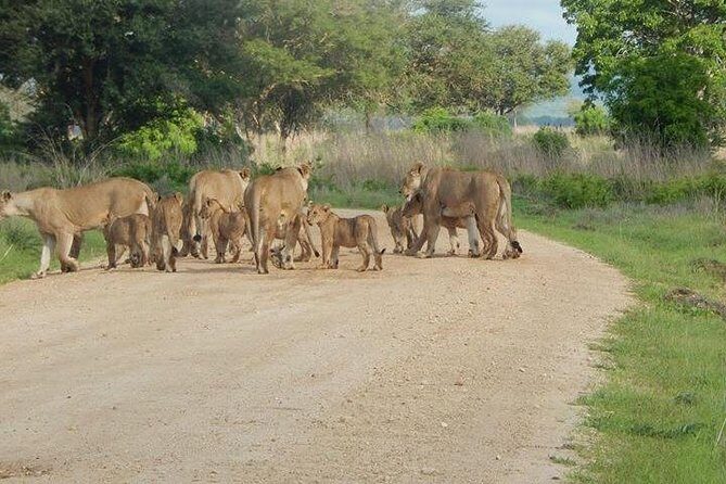 5 Days safari Selous GR and Mikumi NP - Day 1 in Selous: the Great Rufiji river boat safari