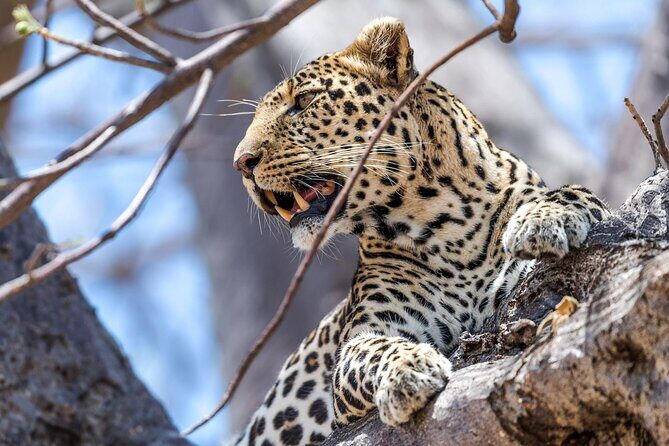 5 Days Safari Tarangire, Serengeti, and Ngorongoro Crater - Arusha welcome and a comfortable first night at The Charity Hotel