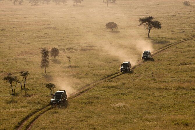 5 Days Safari Tarangire, Serengeti, and Ngorongoro Crater - Tarangire National Park: baobab country and elephant-heavy game drives