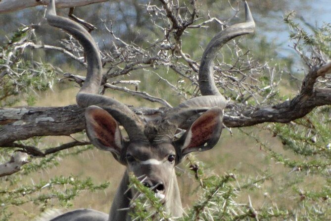 5 Days Safari to Nyerere NP (Selous GR) and Mikumi NP - Key highlights you’ll feel quickly