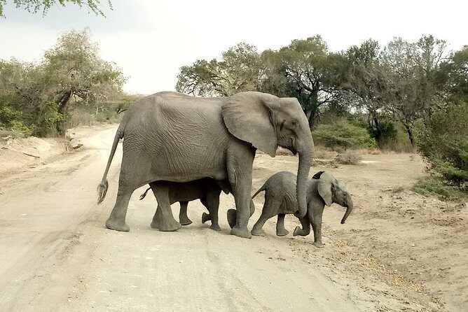 5 Days Safari to Nyerere NP (Selous GR) and Mikumi NP - Mikumi Day 1: game drive with lunch boxes and bird-heavy moments