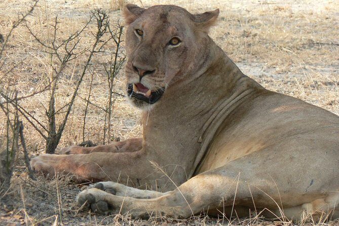 5 Days Safari to Selous & Mikumi - Why Selous and Mikumi Feels Like a Different Side of Tanzania