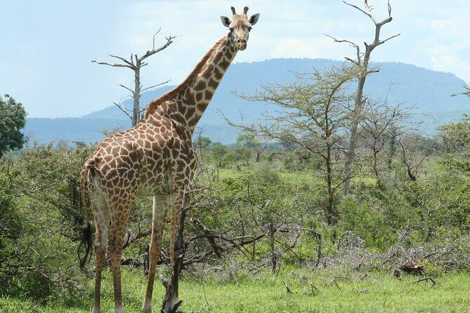 5 Days Safari to Selous & Mikumi - Crossing to Mikumi Through Morogoro and the Uluguru Mountains