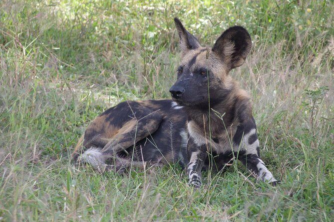 5 Days Safari to Selous & Mikumi - Day 4 in Mikumi: Flood Plain Viewing and a Mountain-Edge Feel