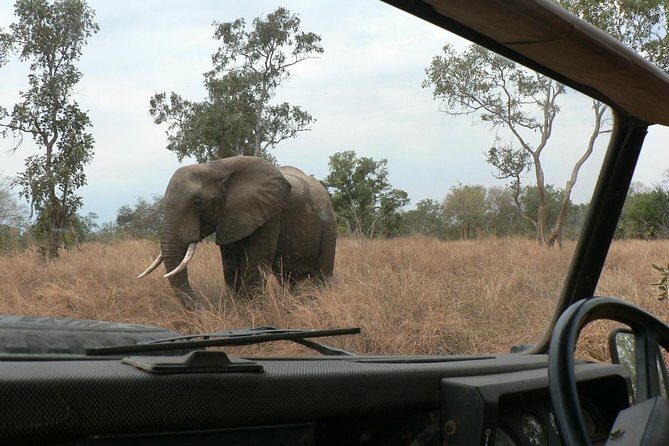 5 Days Safari to Selous & Mikumi - Dar es Salaam to Selous: The 5-Hour Drive That Sets the Tone