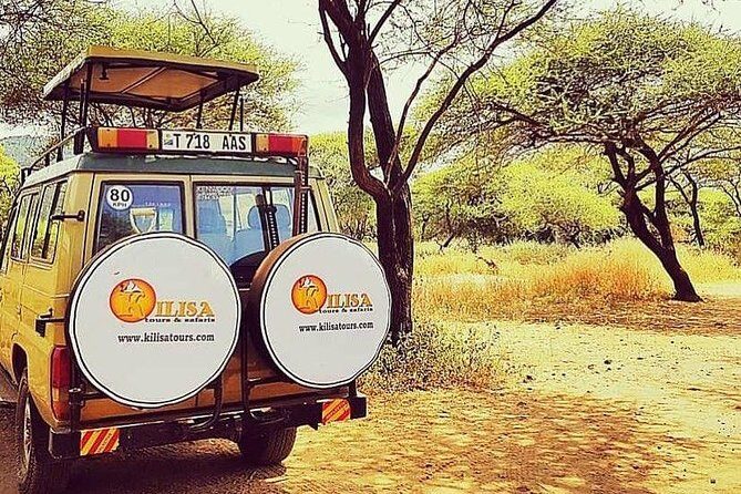 5 days Safari to Tarangire, Ngorongoro, Serengeti and Lake Manyara - Tarangire National Park: Elephants, River Concentration, and Tree Climbing Pythons