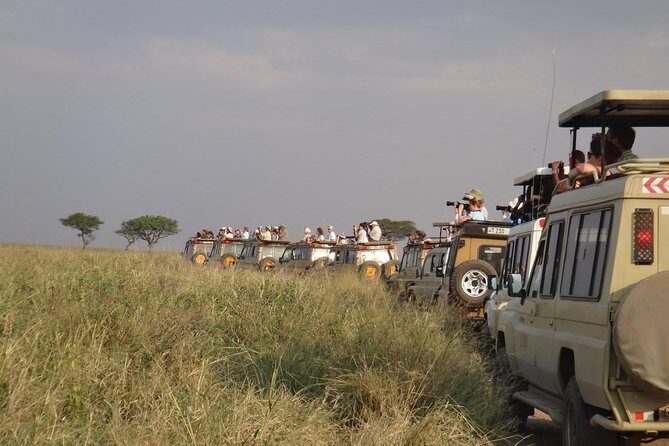 5 Days Special Safari to see migration - Tarangire National Park: birds, elephants, and river-side timing