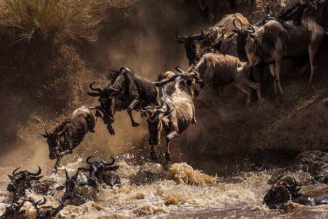 5 Days Special Safari to see migration - Price and value: what $1,860 buys (and what it doesn’t)