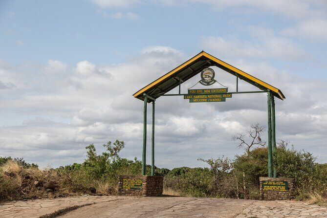 5 Days Tanzania Budget Camping Safari from Arusha - Camping nights: tents, close wildlife, and what to pack