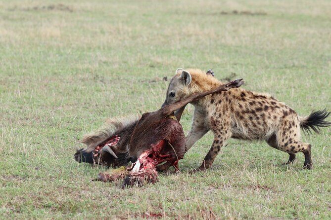 5 Days Tanzania Budget Camping Safari from Arusha - Price and value: what $1,100 per person is really covering