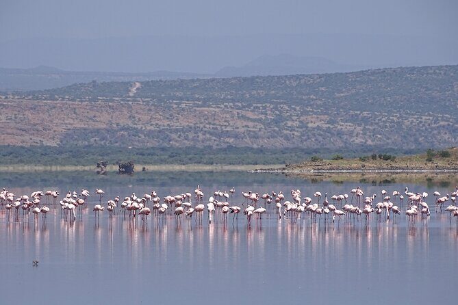 5 Days Tanzania Family Safari - Day 4 on the way into Ngorongoro: wildlife drive + Maasai village time