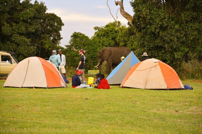 5 Days Tanzania Family Safari - Day 1 in Tarangire: the river you build sightings around