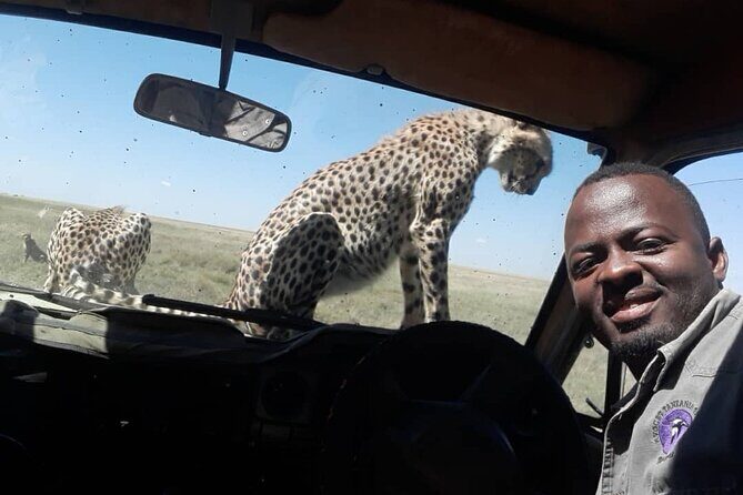 5 Days Tanzania Group Joining Safari, Tarangire/Serengeti/Ngorongoro Crater - Day 2: Tarangire to Serengeti for the predator-and-migration setup