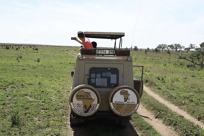 5 days Tanzania midrange lodge Private safari - Day 2: Central Serengeti half-day drive that sets your pattern