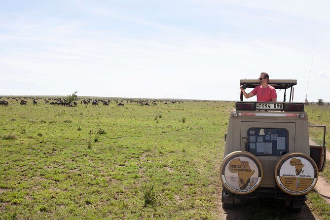 5 days Tanzania midrange lodge Private safari - Meeting point, timing, and the kind of trip this is