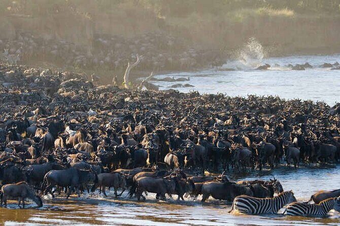 5 Days Tanzania Safari Great Wildebeest Migration - Day-by-day route: what each stop does for you