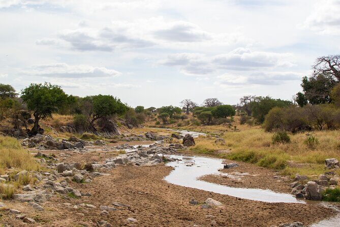 5 Days Tanzania Safari Great Wildebeest Migration - How the Great Migration plan fits together (and what to expect)