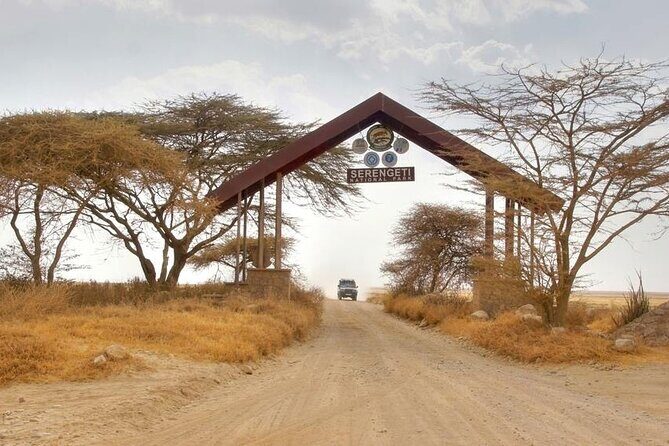 5 Days Tanzania Safari Great Wildebeest Migration - What’s included (and what you should plan for)
