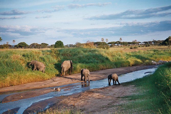5 Days Tanzania Safari- Tarangire Np, Serengeti Np and Ngorongoro Crater - Serengeti after the drive: your first big-picture game drive