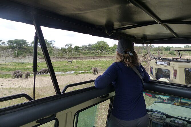 5 Days Tanzania Wildlife Safari Private Tour - A 5-day Arusha private safari: how the pacing really feels