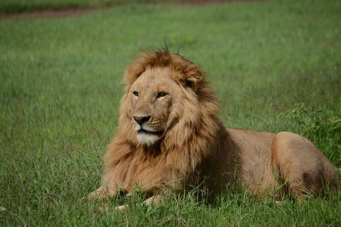 5 Days Tarangire ,Serengeti.Ngorongoro and Lake manyara - Key things I’d circle on the calendar