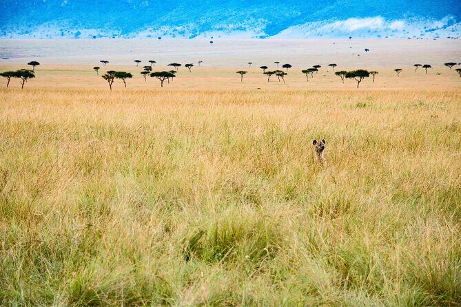 5-days Tarangire-Serengeti-Ngorongoro Safari - Five days across the classics: why this route works