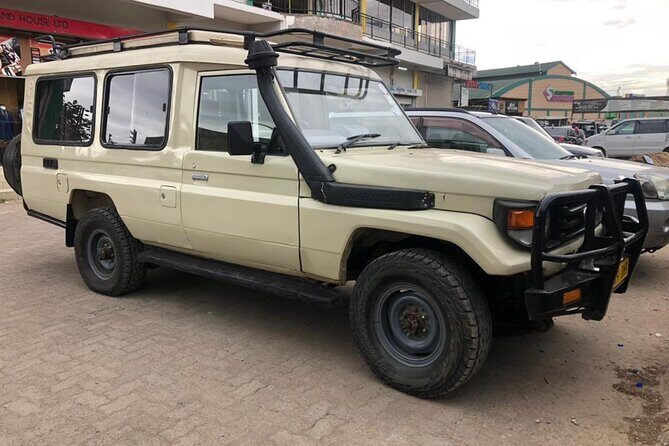 5 Days Under Serengeti Skies Tour - Moshi and Kilimanjaro: The Setup You’ll Feel Immediately