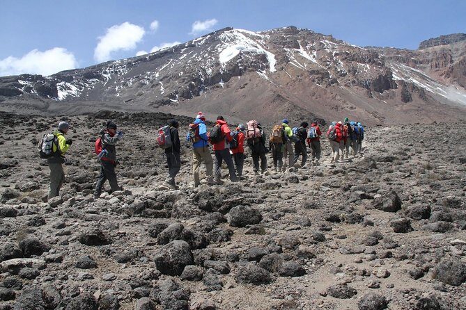 5 Days_Haking_Mount_Kilimanjaro by_Using_Marangu Route - Day 1 to Mandara: rainforest hiking, eucalyptus, and Maundi Crater views