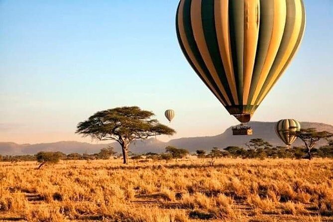 5days Tarangire,Serengeti,ngorongoro Crater and Lake Manyara National park - Your 5-day northern circuit: what you really get for your money