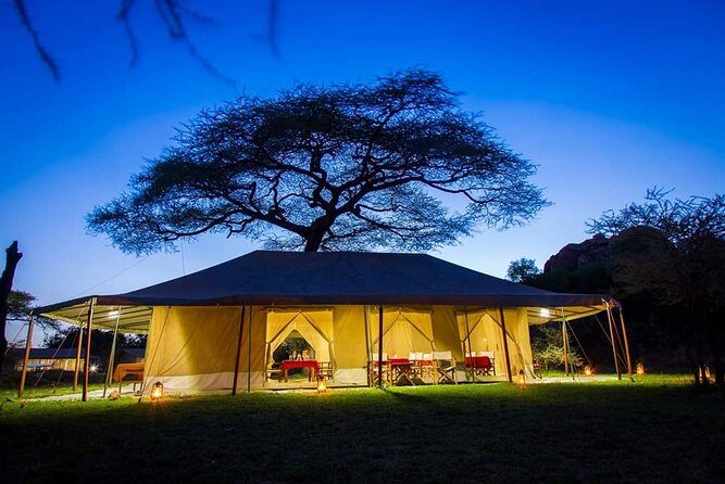 5days Tarangire,Serengeti,ngorongoro Crater and Lake Manyara National park - Day 2: Tarangire to Serengeti, plus a Maasai village option