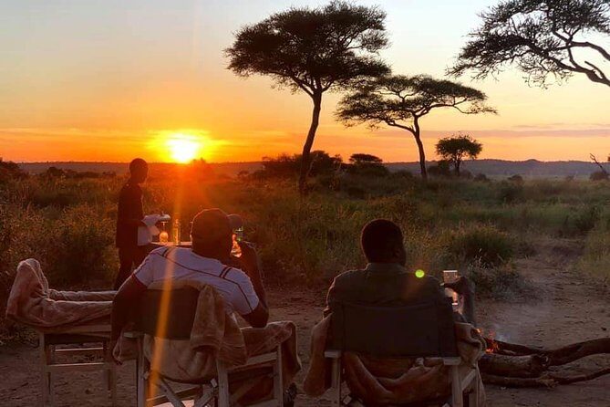 5days Tarangire,Serengeti,ngorongoro Crater and Lake Manyara National park - Day 3: Serengeti at 6:00 am light, then moving on to Ngorongoro
