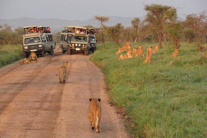 5days Tarangire,Serengeti,ngorongoro Crater and Lake Manyara National park - Day 5: Lake Manyara game drive and back to Arusha