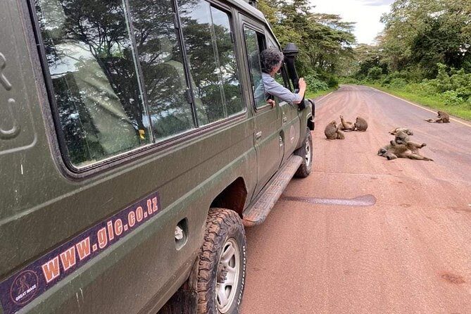 5days Tarangire,Serengeti,ngorongoro Crater and Lake Manyara National park - Day 1: Arusha to Tarangire National Park and that first elephant moment