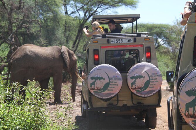 6-Day Big Five Magic Safari Tour - The reality check: a 1:00 am start and long safari days