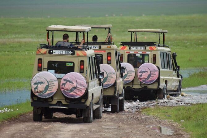 6-Day Big Five Magic Safari Tour - Day 1 Tarangire National Park: a great first taste of the wildlife rhythm