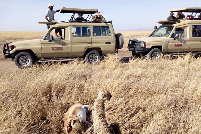 6-Day Budget Lodge Safari in Tanzania - Day 2 in Lake Manyara: Birds, Hippos, and Tree-Climbing Lions