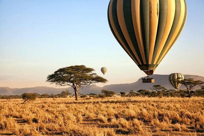 6-Day Budget Lodge Safari in Tanzania - Day 6 in Ngorongoro Crater: Big Five Potential in One Place