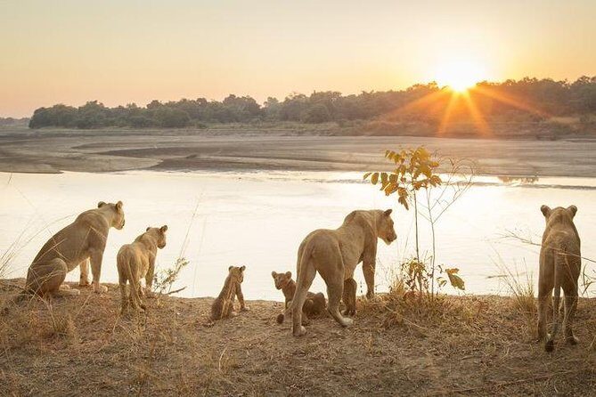 6-Day Budget Lodge Safari in Tanzania - Where You Start: Sokoine Road in Arusha, 8:30 am Energy